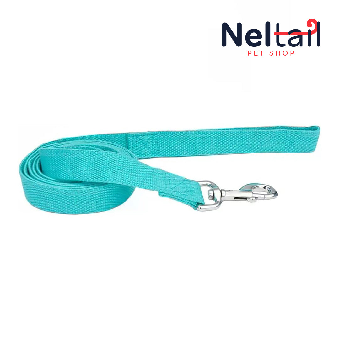 Nel Tail - Dog Lead Mint Green - 6 feet x 5/8"W