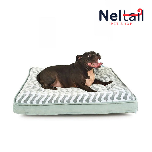 Nel Tail - Queen-Size Waterproof Bella Orthopedic Mattress Bed