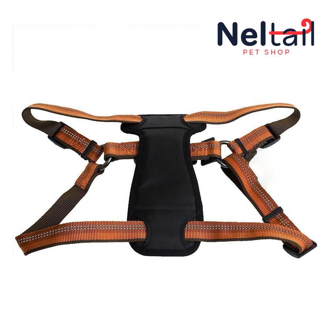 Nel Tail - Reflective Adjustable Padded Dog Harness - Campfire Orange - Fits 26"-38"